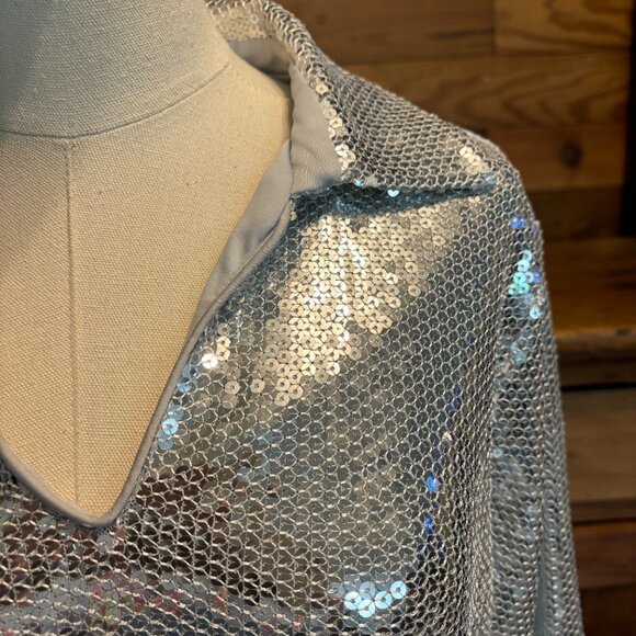 Silver Sequence Dress - Picture 4 of 9